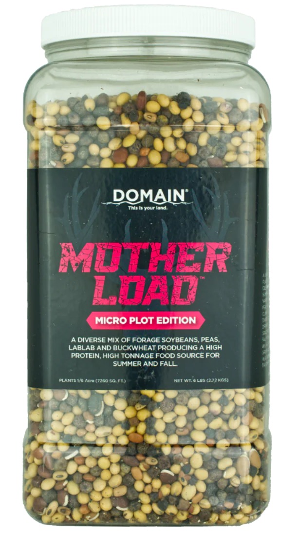 DOMAIN MLFP6-MICRO MOTHER LOAD - MICRO - DOMAIN