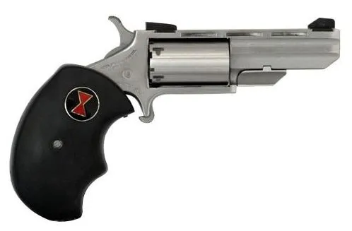 NAA Black Widow 22 LR Revolver 2" Stainless 5rd - View 2