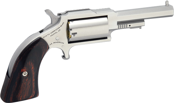 NAA The Earl Sheriff 22 LR/22 WMR 2.5 In 5rd Stainless-Wood - View 2