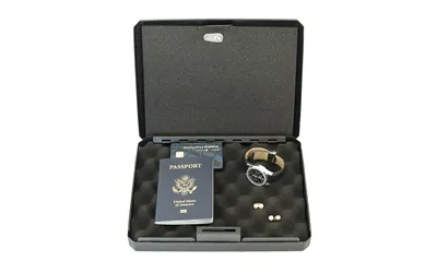 FSDC FSDC-MLC9000 KEYED STEEL LOCK GN CASE 10.8 - View 2